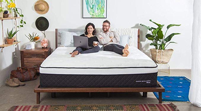 Nest Bedding Alexander Signature Hybrid 13.5