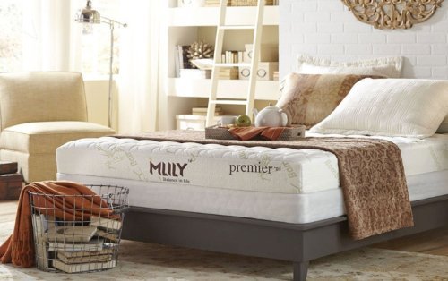 MLily Premier 7